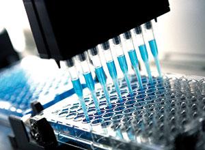 Capralogics offers extensive antigen design services and laboratory support