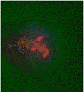 Immunocytochemistry: Positive staining of rat neuron cells blocked with 2% BSA/1% tween 20 in PBS & incubated @ 4C overnight with an antibody dilution of (5ug/ml)