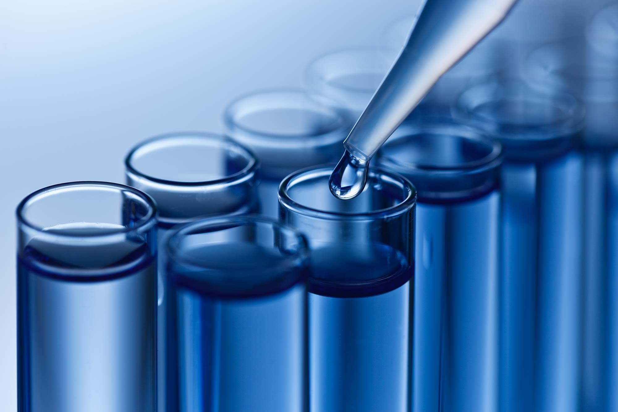 PBMC Isolation and RNA Purification Services