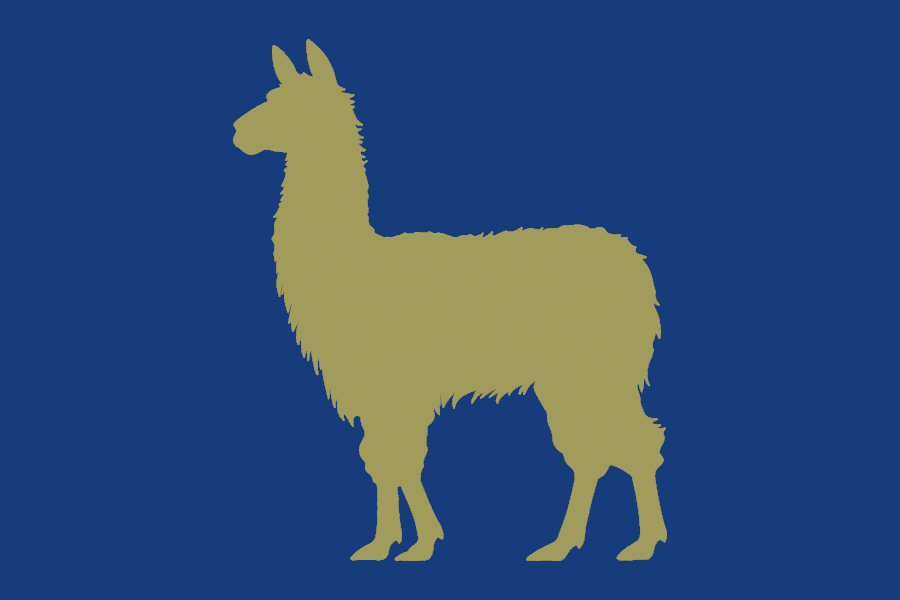Llama & Alpaca